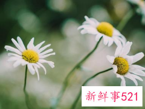 人在疾病面前的感悟