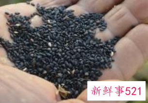 男人十大补肾壮阳食物