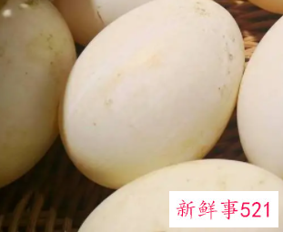 怀孕第几个月吃鹅蛋去胎毒