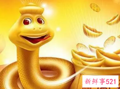 属蛇哪几个月财运最好