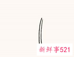 枫叶怎么画步骤