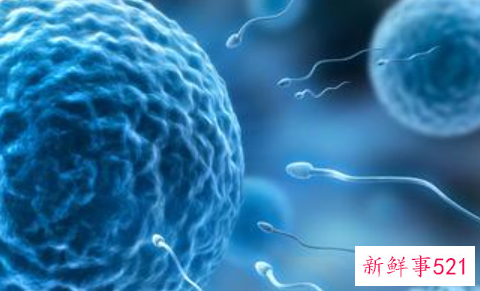 青春期男女身体结构有什么不同