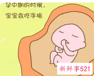 胎儿的智力受什么影响