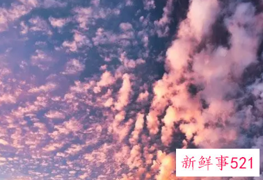 梦见瑰丽的天空