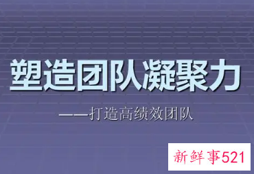 团队管理要点