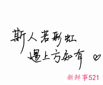 心动的唯美句子