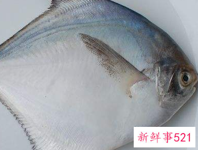 宝宝第一次吃什么鱼比较好