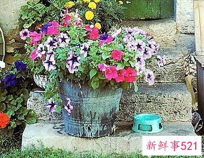 一婚和二婚区别