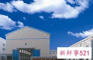 公司好听有创意的名字