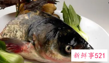 野生鲤鱼的营养价值