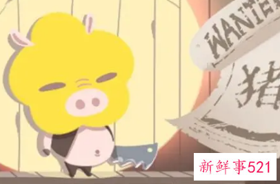 属猪女天蝎对待感情