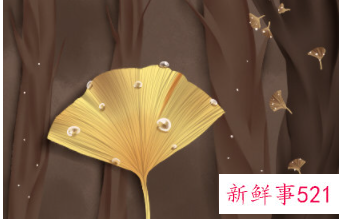 巨蟹女属于什么美女