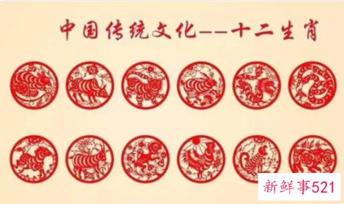 成语解十二生肖