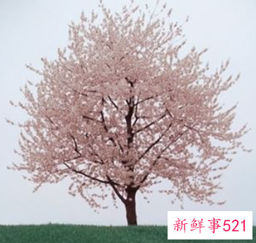 梦见颈部什么意思