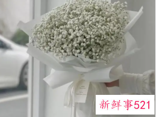 客厅放满天星干花好吗