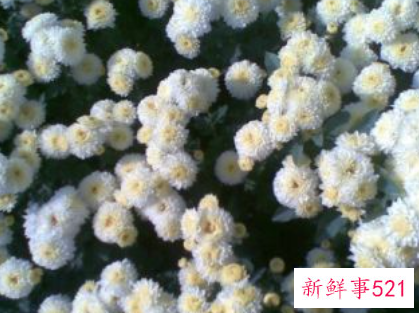 做了对不起老公的事怎么挽回