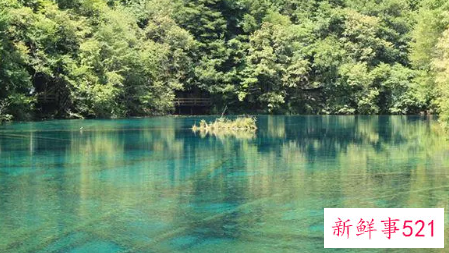 已婚女人梦见浑水