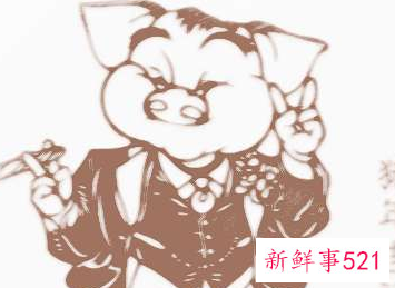 属猪和属鼠婚配怎么样