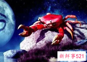 巨蟹男喜欢你的细节和表现