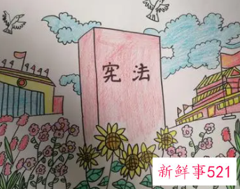 小学生宪法绘画作品
