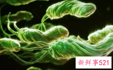 幽门螺杆菌怎么预防