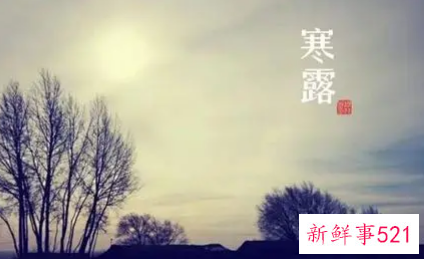 关于寒露的内容