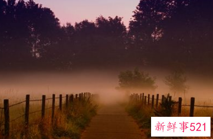 梦见篱笆什么意思