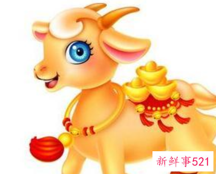 属羊女和什么最配