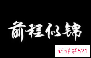 寓意前程似锦的公司名称