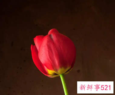 女人是不是应该有自己的小圈子