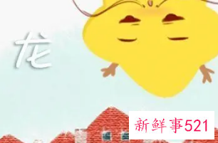 属龙的女人对待感情