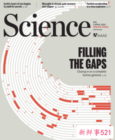 人类基因组完整图谱历时22年绘制完成