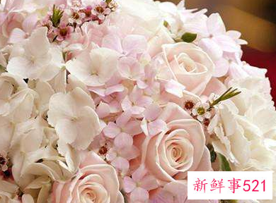 情人节买多少玫瑰花合适