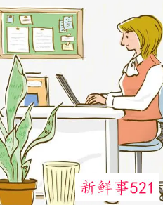 个人在公司的角色与定位