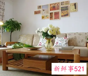 风水中的家居植物摆放宜忌