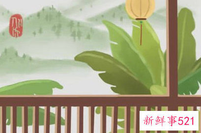 客厅放满天星干花好吗