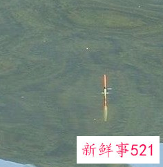 怎么看鱼漂知道鱼上钩