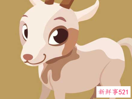 属羊女和什么最配