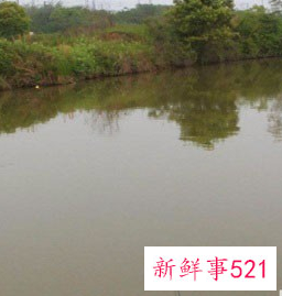 怎么看鱼漂知道鱼上钩