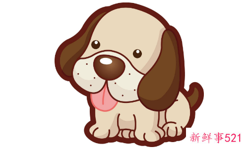 男狗女兔婚姻相配好吗