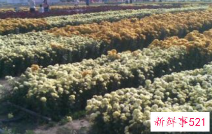 做了对不起老公的事怎么挽回