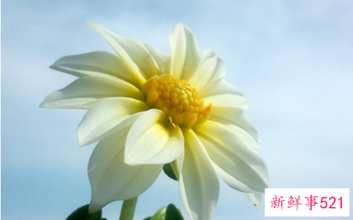 总喜欢唱反调的人是什么心理