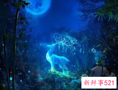 梦见自己断手是什么意思