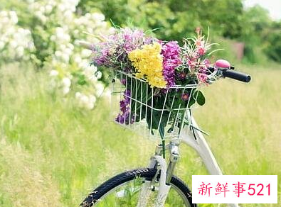 一束花的仪式感文案