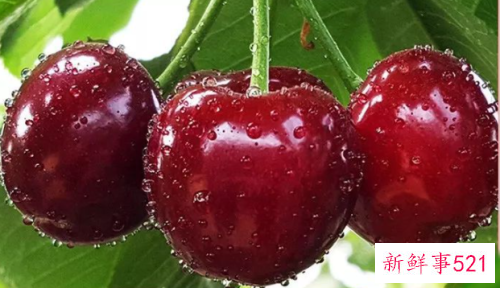 女人春季美容的水果