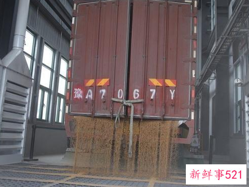 国家粮仓是什么样的