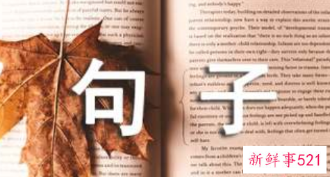 关于知己的句子都有哪些