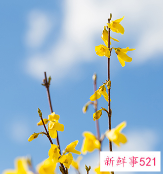 怎样除螨虫最有效