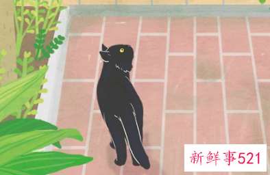 朋友圈全权限仅聊天是什么意思