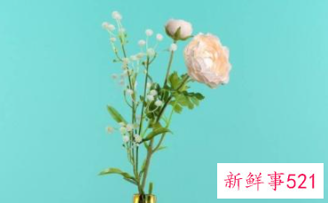 鲜花保存方法